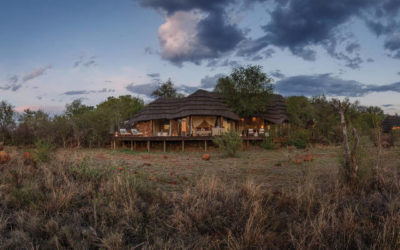 A Guide to Madikwe Hills Safari Lodge